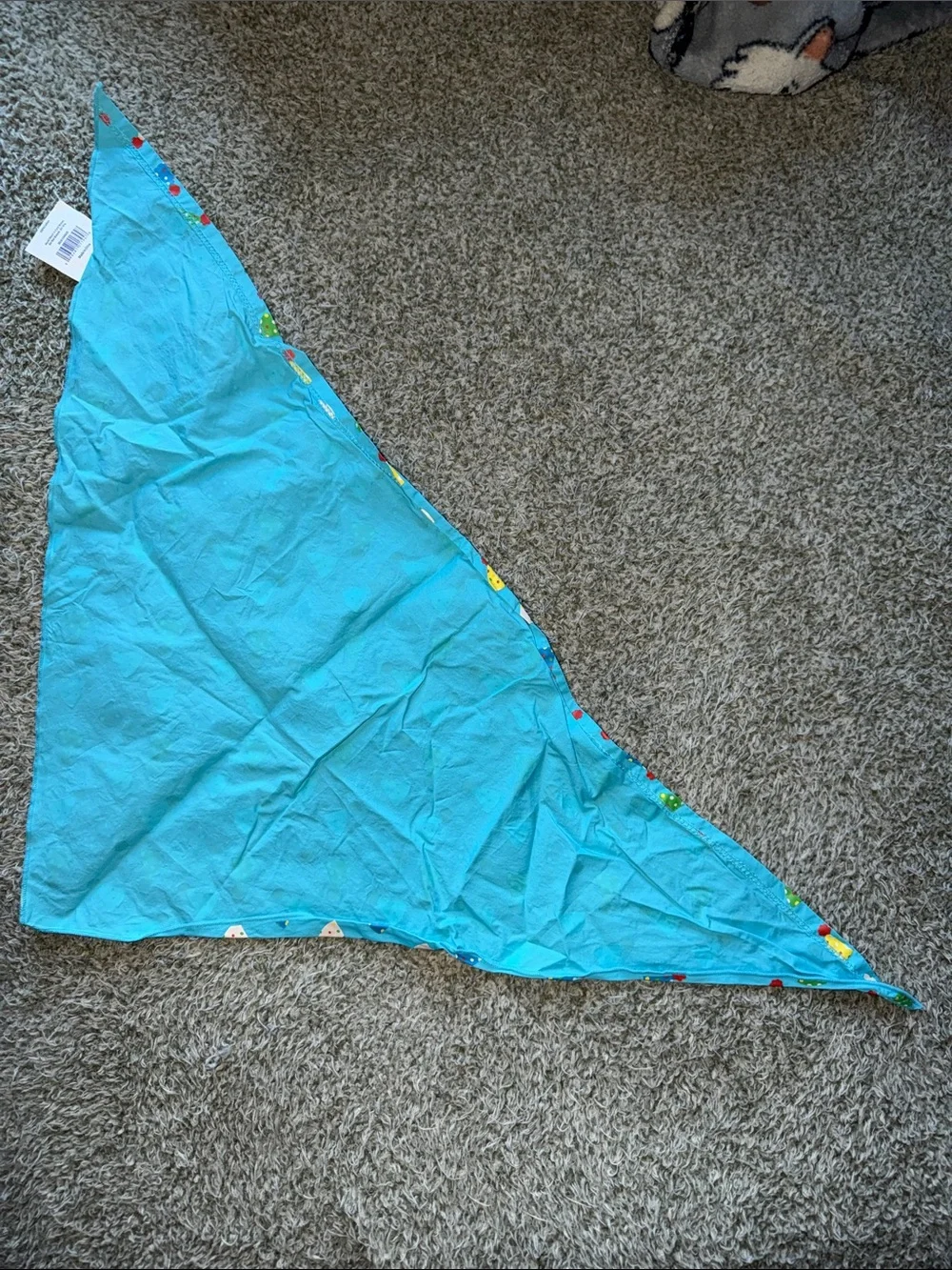 Top Paw bright teal
